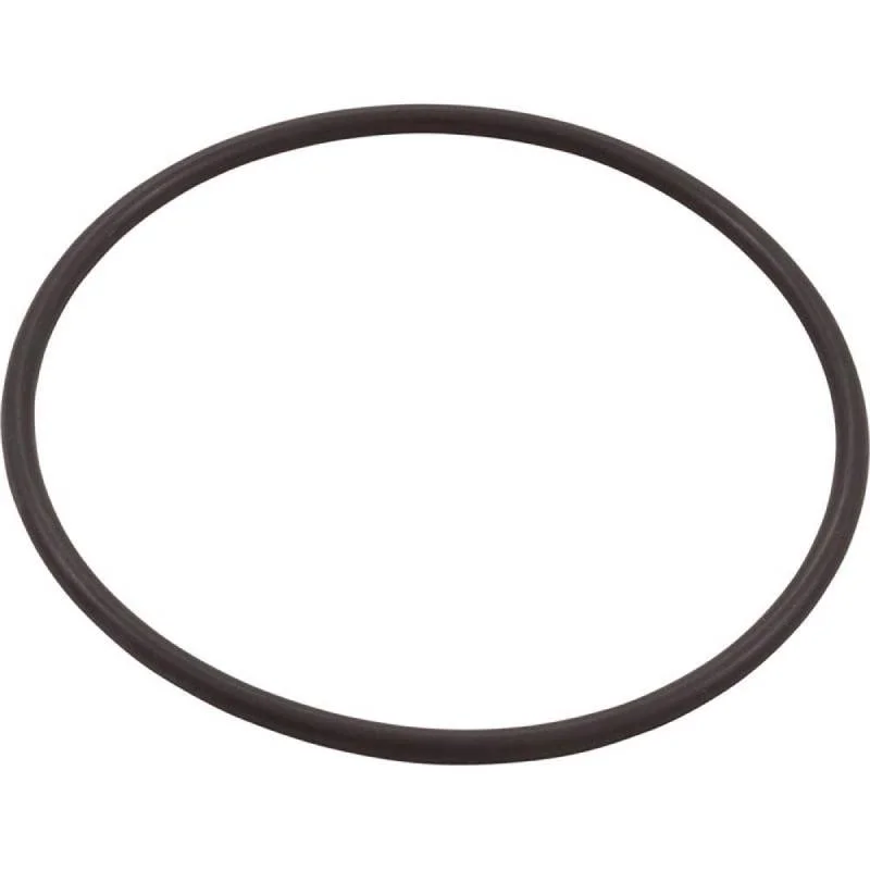 AA-523979-LeafVac-Lid-O-Ring