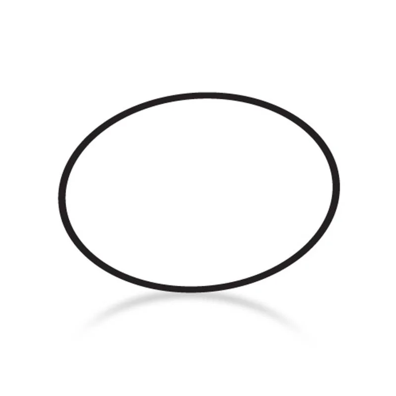 Caretaker-1-13-39-Clear-Inner-Lid-Large-O-Ring-1