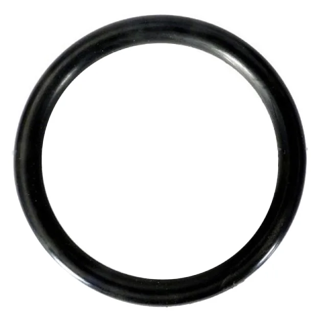Carvin-47022868R-2-1_4_x2-1_2_x1_O64_-O-Ring-1
