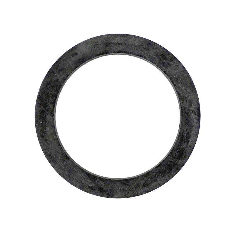 Fluidra-AST01150R0301-Union-Flat-Gasket-3