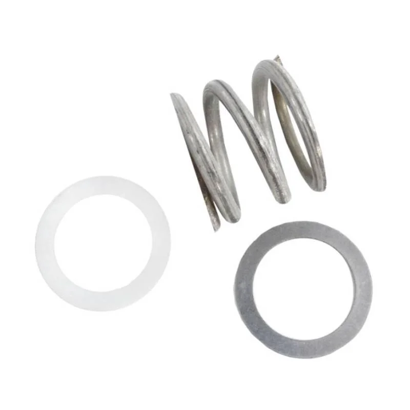 Fluidra-AST4404120105-Spring-and-Washer-Assembly-1