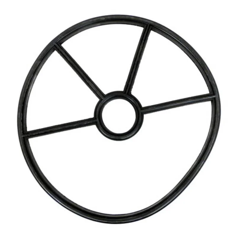 Fluidra-AST4404120705-Spider-Gasket-MP-BW-2-1_2_-Valve-with-Rotor-Stem-Gasket_Valve-Body-O-Ring-1
