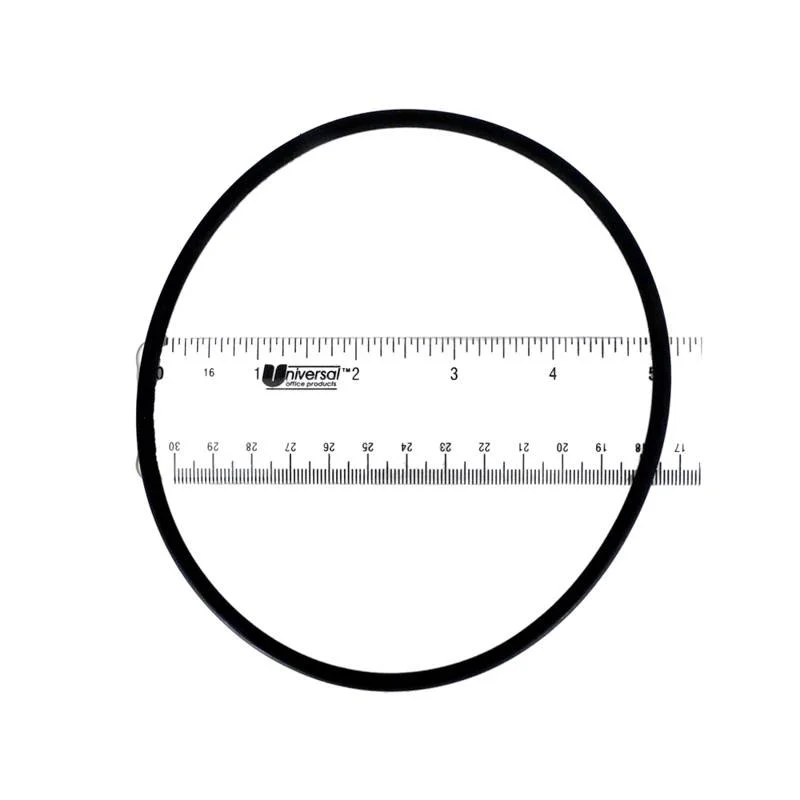 Fluidra-AST4408010203-Old-Style-Chlorinator-O-Ring-1