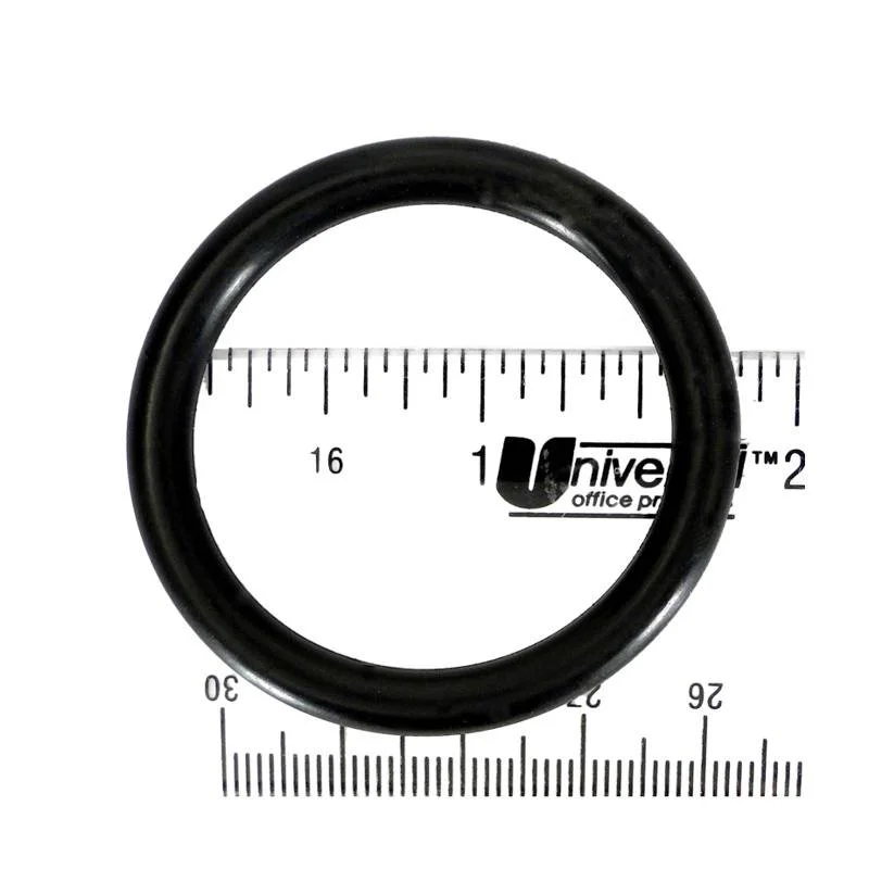 Fluidra-AST77303R80050-Diffuser-O-Ring-1