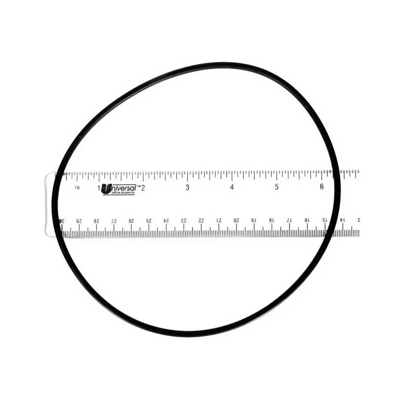 Fluidra-AST773R1520035-Housing-O-Ring-1