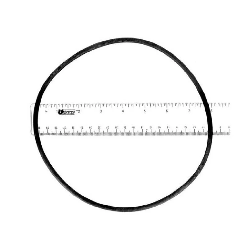 Fluidra-AST773R1920050-Lid-O-Ring-1