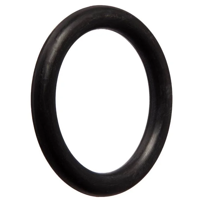 Hayward-AX5010G10-Phantom-Wall-Quick-Connect-Oring1