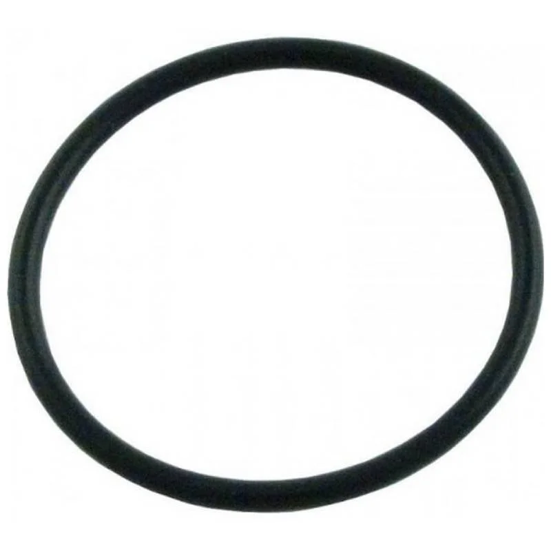 Hayward-AX5010G19-Viper-Inline-Filter-Oring1