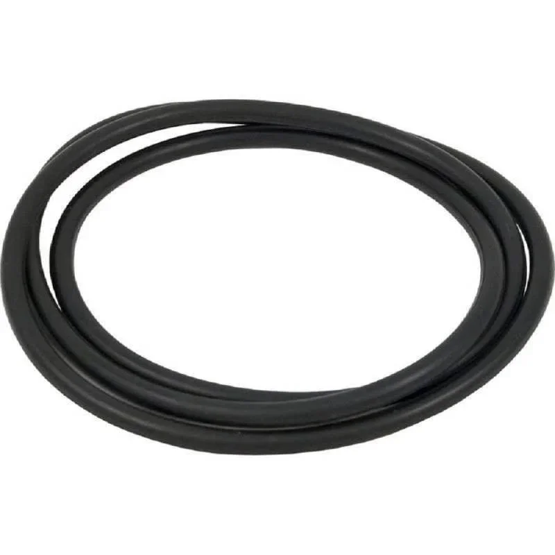 Hayward-CCX1000G-XStream-Tank-O-Ring1