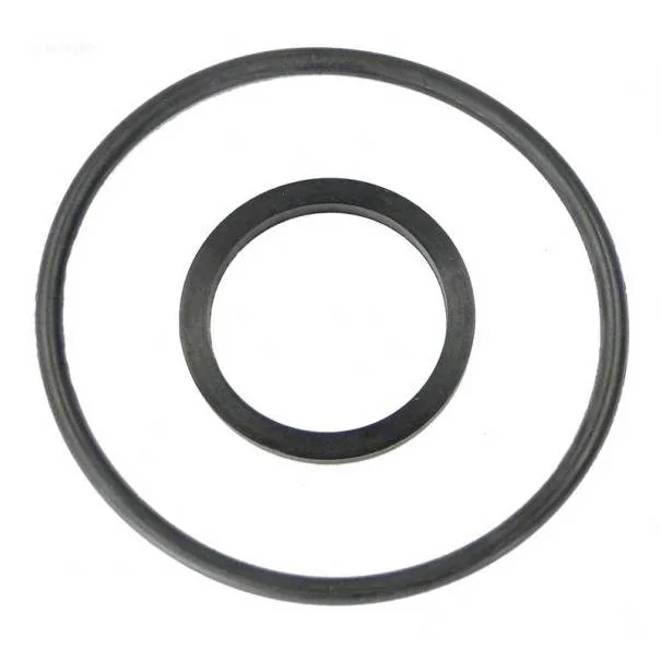 Hayward-CCX1000Z5-XStream-O-Ring1