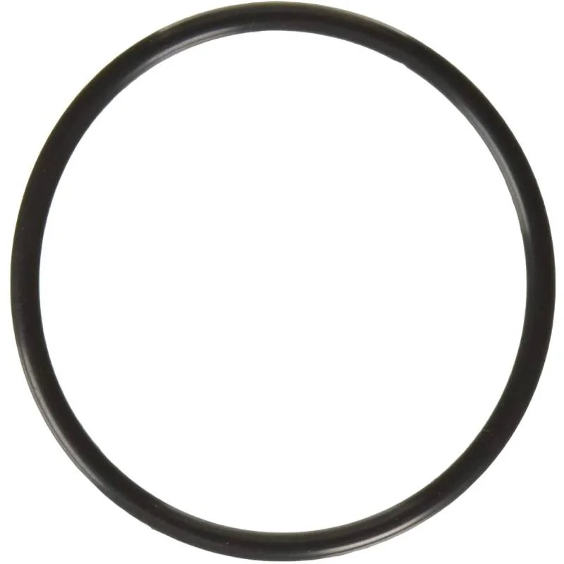 Hayward-CLX110K-CL100CL110-Viton-Lid-O-Ring