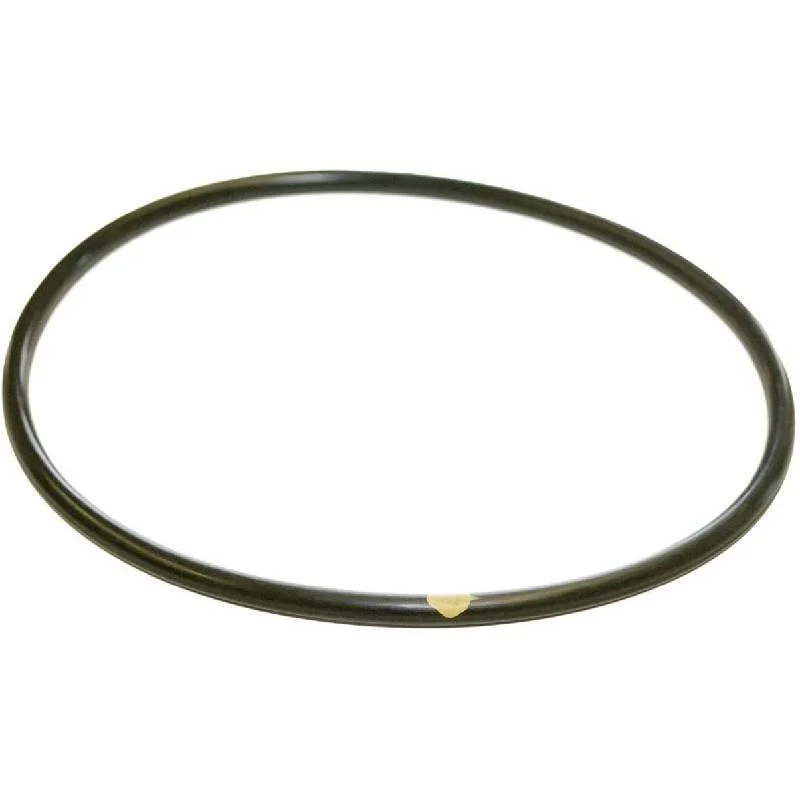 Hayward-CLX200K-CL200CL220-Viton-Lid-O-Ring1