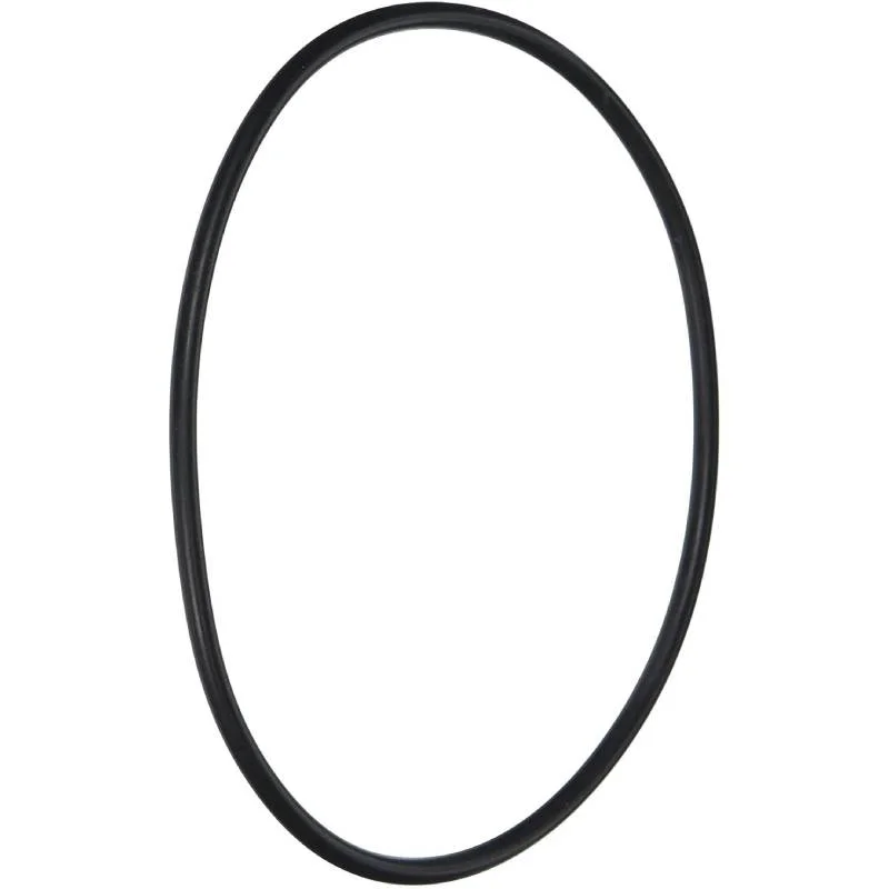 Hayward-CX120D-Micro-StarClear-Filter-Body-O-Ring1
