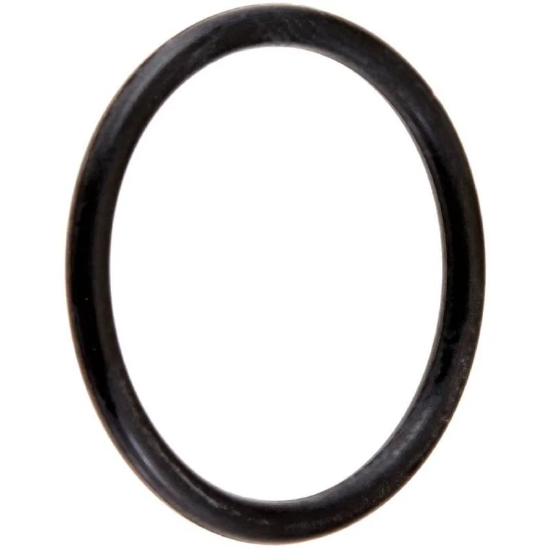 Hayward-CX250Z7-StarClear-II-O-Ring1