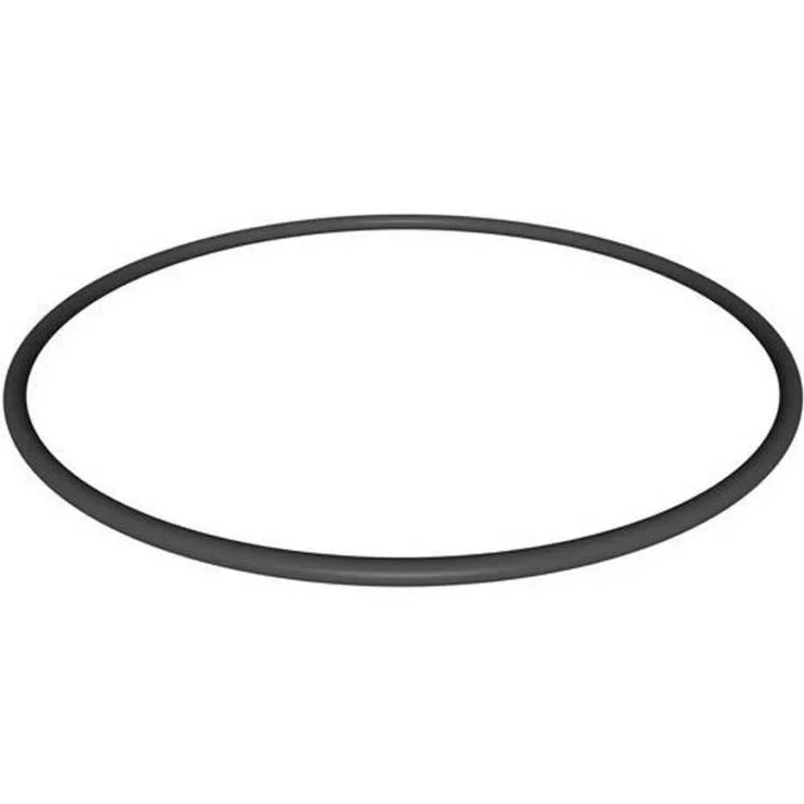 Hayward-CX900F-Starclear-Plus-LID-O-Ring1