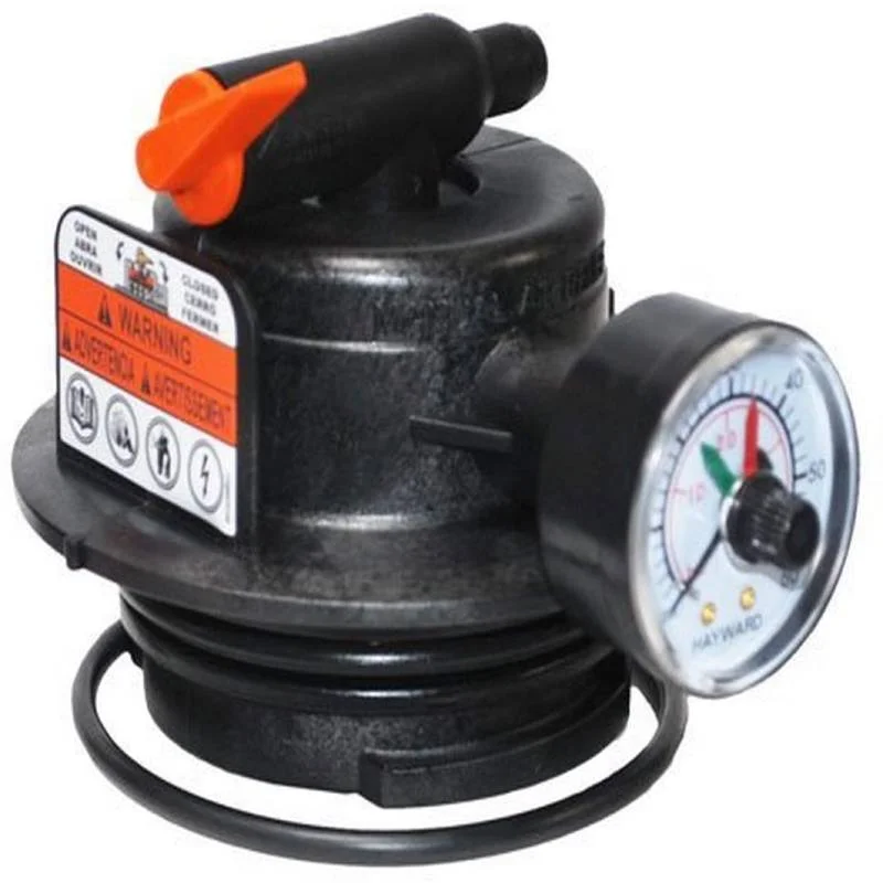Hayward-DEX2420MAR2-PROGRID-Manual-AIR-Relief-Assembly