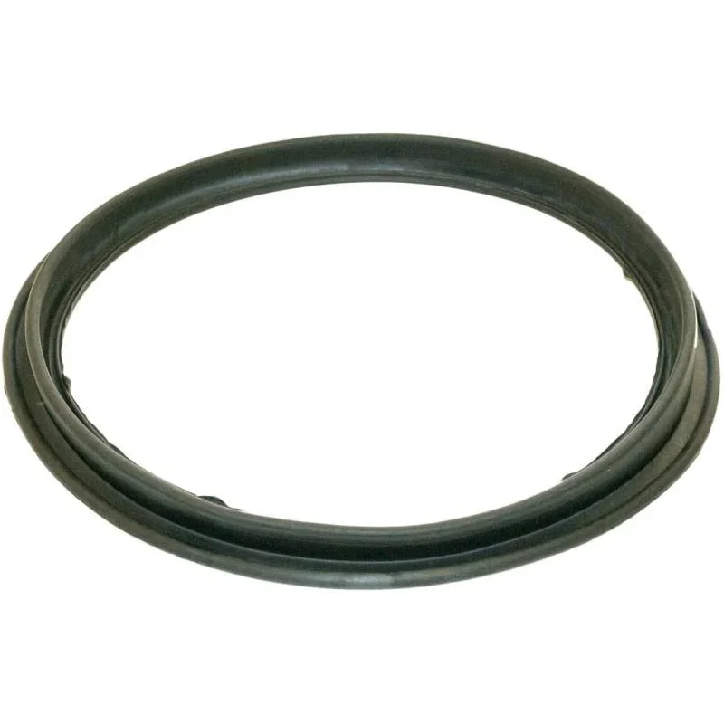 Hayward-ECX1105-Perflex-Diaphragm-Gasket1