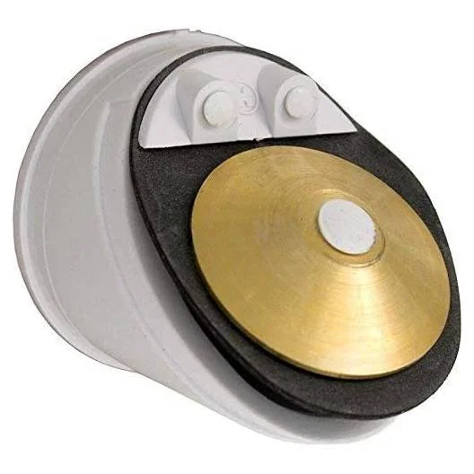 Hayward-ECX4077B1-PerflexRegenx-Check-Valve1