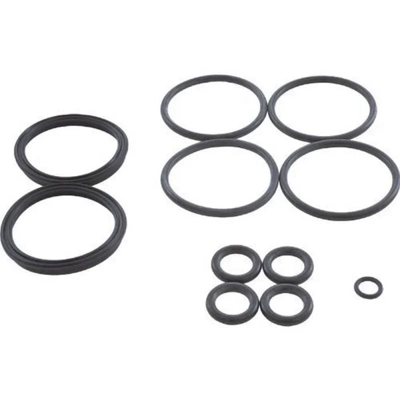 Hayward-FDXLFOR1930-H-Series-HTR-Header-Oring-Kit1