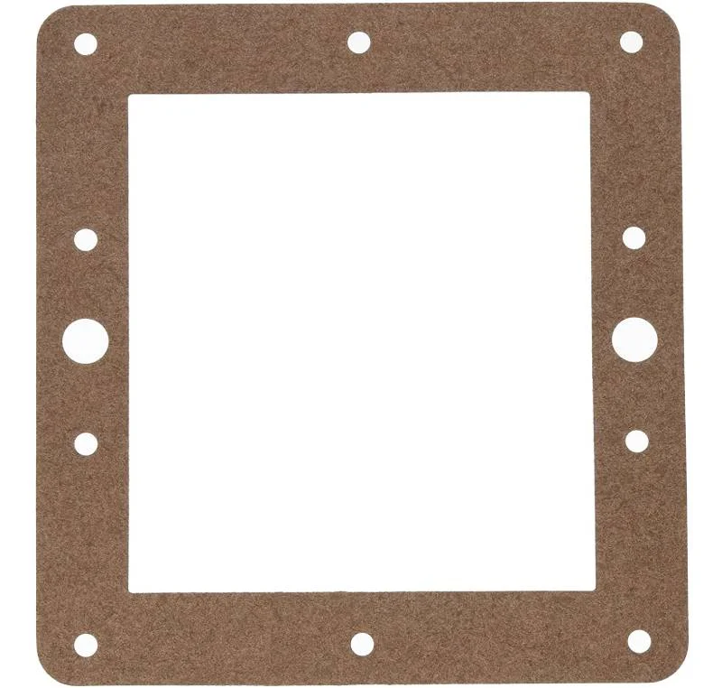 Hayward-SPX0097E-SP10978-Gasket