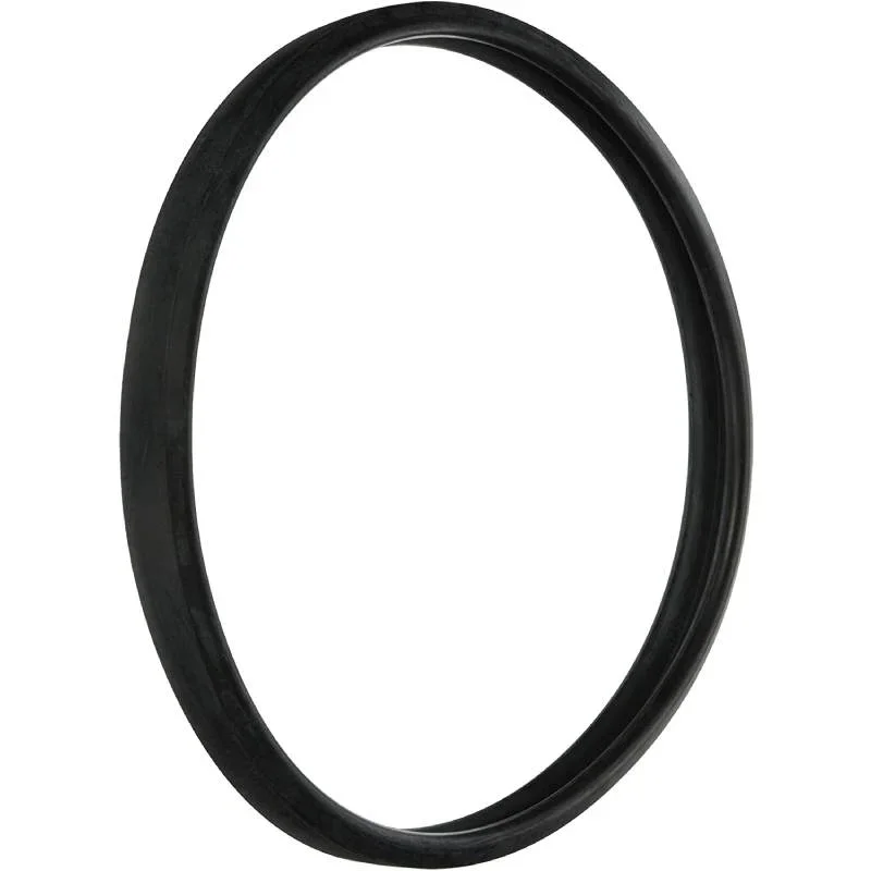 Hayward-SPX0503W-SP0503SP0504-Special-HI-Temp-Lens-Gasket1
