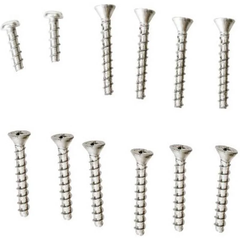 Hayward-SPX0507Z1A-SP507-Niche-Self-Tapping-Screw-Set