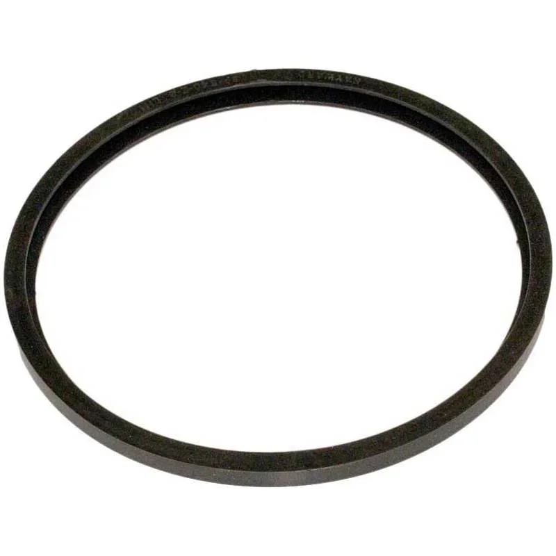 Hayward-SPX0540Z2-StarLite-Special-HI-Temp-Lens-Gasket1