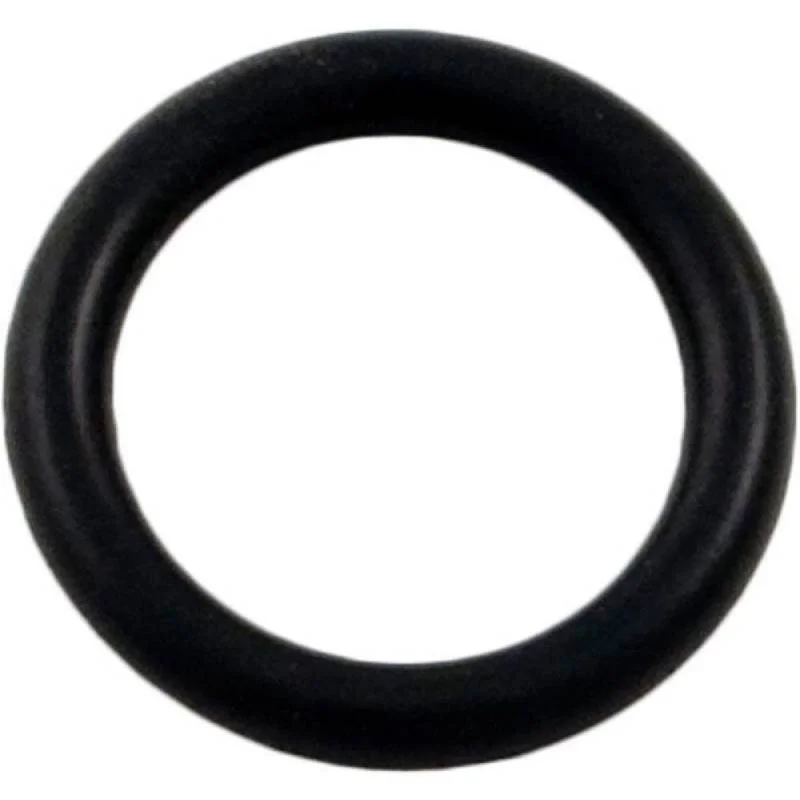 Hayward-SPX0605Z2V-Viton-Drain-Plug-O-Ring