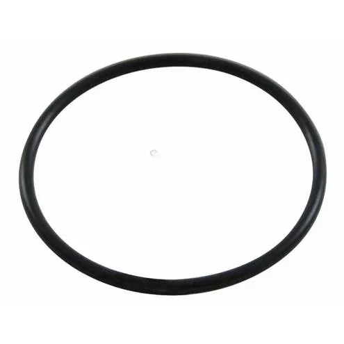 Hayward-SPX0728H-Oring-End-Connector