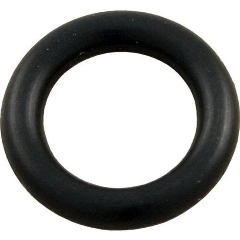 Hayward-SPX1082Z410-10PK-Regenx-PistonRelief-Valve-O-Ring1