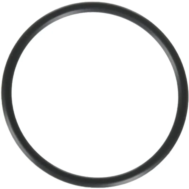 Hayward-SPX1495Z1-PowerFlo-Union-Connector-Oring1