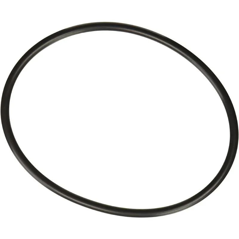 Hayward-SPX3000SV-Viton-Cover-Oring1