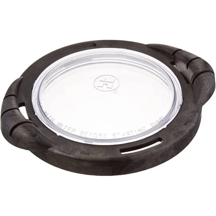 Hayward-SPX4000DLT-NorthStar-Strainer-Cover-Kit-BEFORE-20081