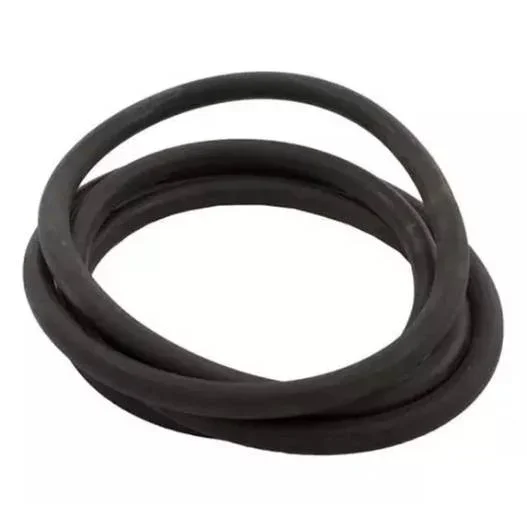 Hayward-SX160Z1-S160T-O-Ring2
