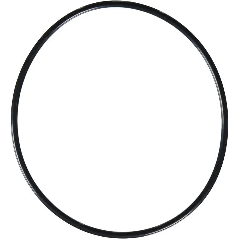 Hayward-SX200Z6-S160TS200S240-O-Ring1