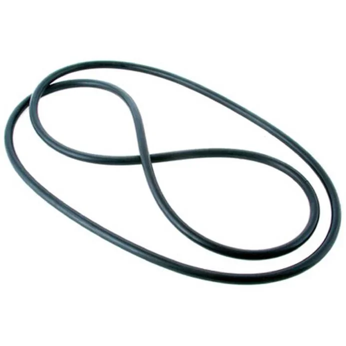 Hayward-SX240Z1-S240-O-Ring1