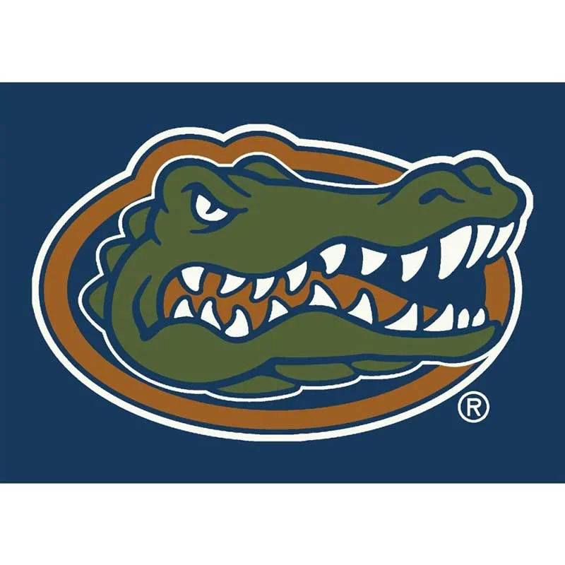 Imperial-University-of-Florida-8-x-11-Spirit-Rug1