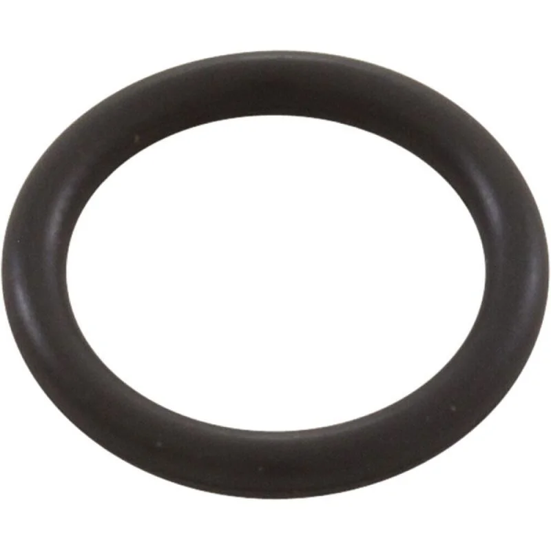 Neptune-Benson-1000-2438-Bulb-O-Ring-1