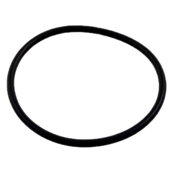 Pentair-072560-Ortega-Check-Valve-Screw-Cap-O-Ring1