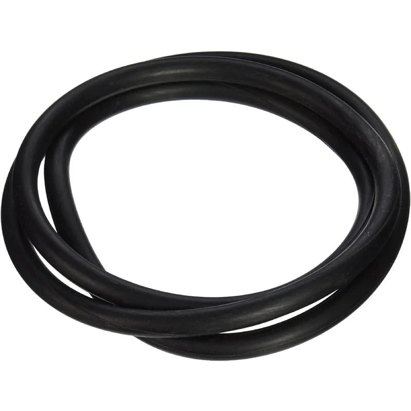 Pentair-152127-Nautilus-NS-Tank-NS-O-Ring-1