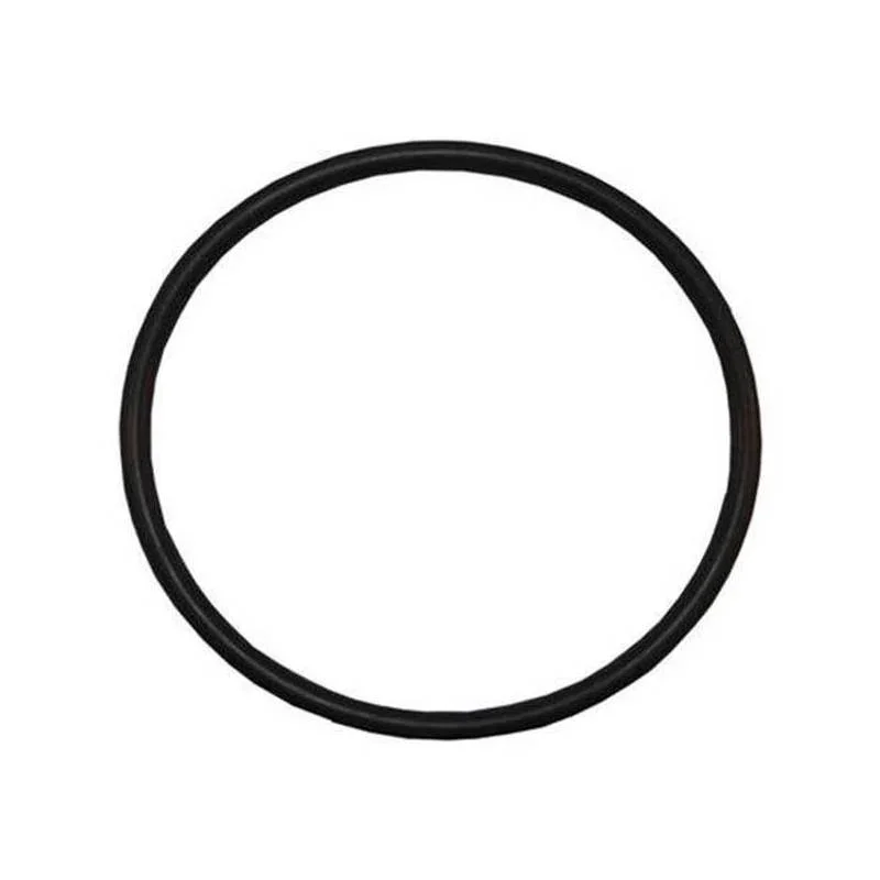 Pentair-152517-TAGELUS_TRITON-II_WFE-Lid-O-Ring