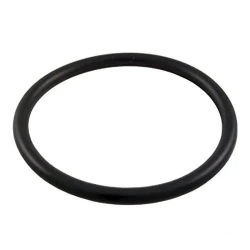 Pentair-154491-BULKHEAD-O-Ring1