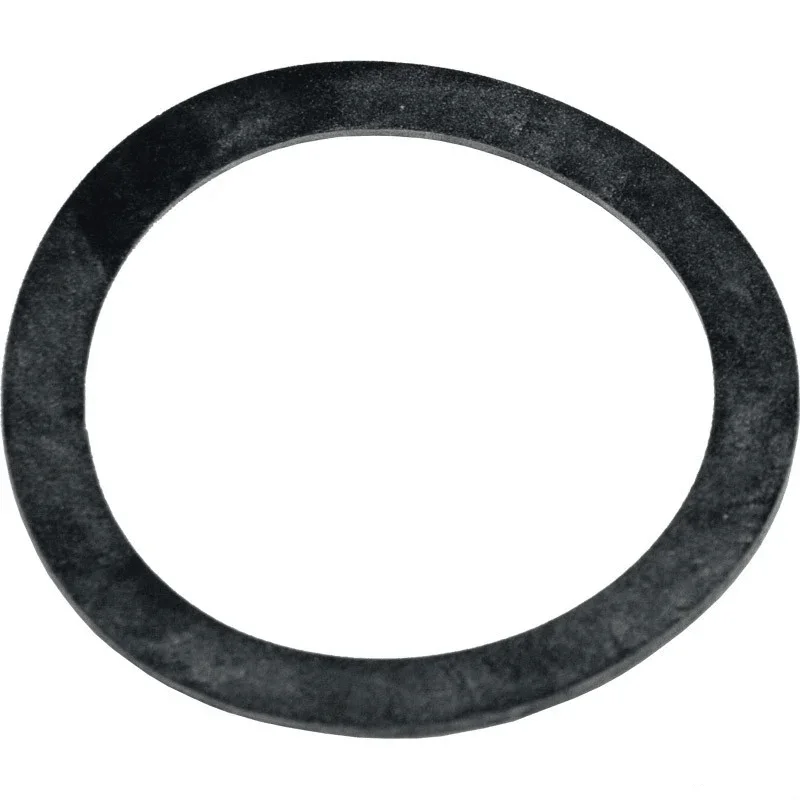 Pentair-154538-2-Triton-II-Bulkhead-Gasket