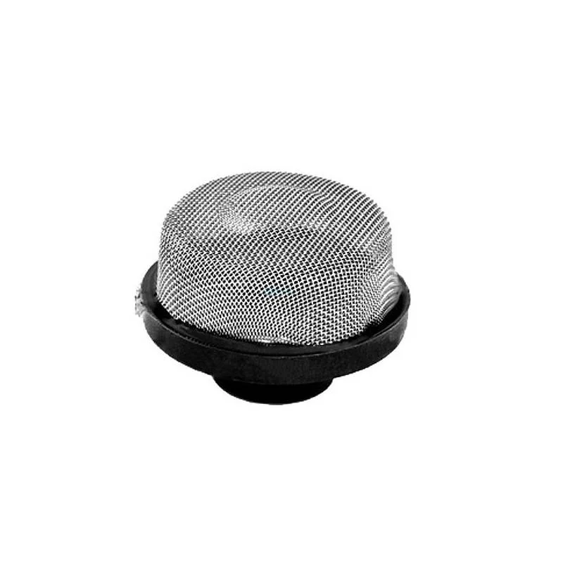 Pentair-154578-.25-TRITON-II-Air-Relief-Strainer