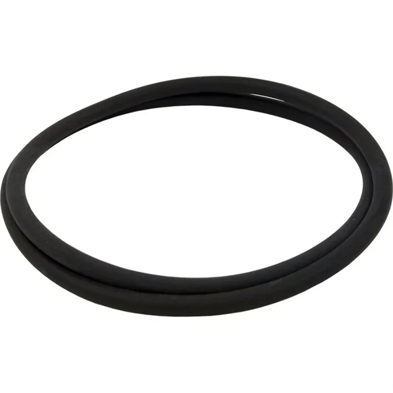 Pentair-154661-Triton-II-Air-Bleeder-Adapter-O-Ring2