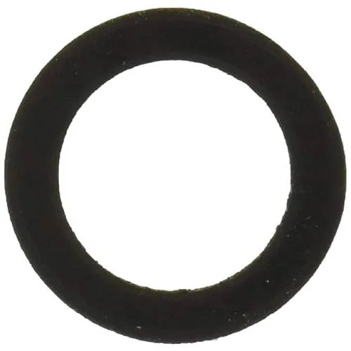 Pentair-154713-Sand-Dollar-Sand-Filter-Sand-Drain-Gasket1