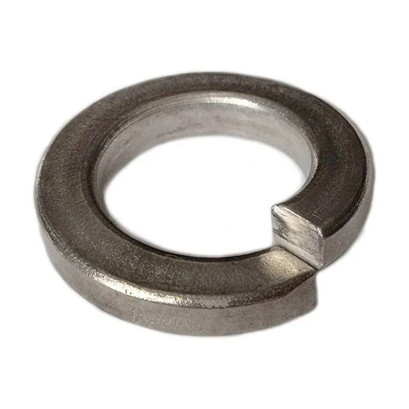 Pentair-174955Z-5_16-SS-Lock-Washer