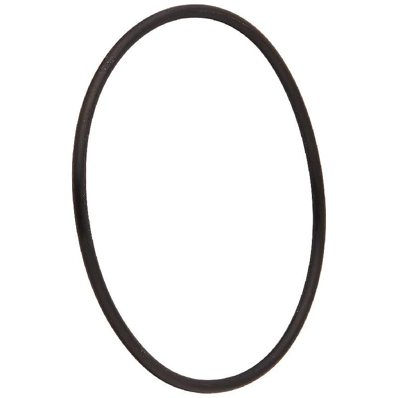 Pentair-192320-Clean-And-Clear-Plus_FNS-Plus-Upper-Bulkhead-O-Ring