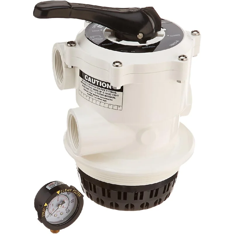 Pentair-261124-Multiport-Valve