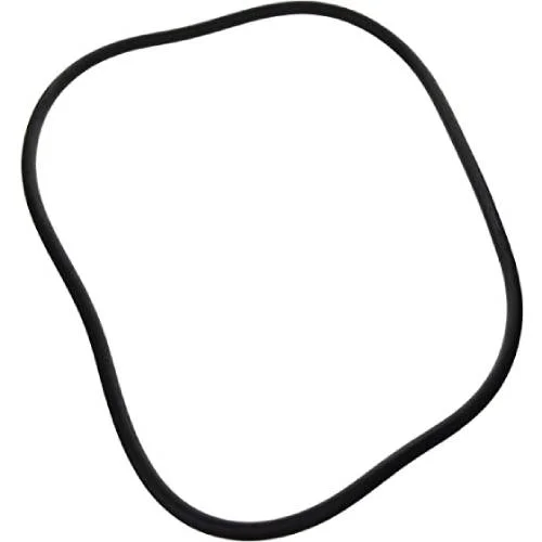 Pentair-27001-0060S-CORD-RING1